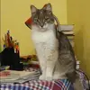 Отзыв от Любовь Корнеева